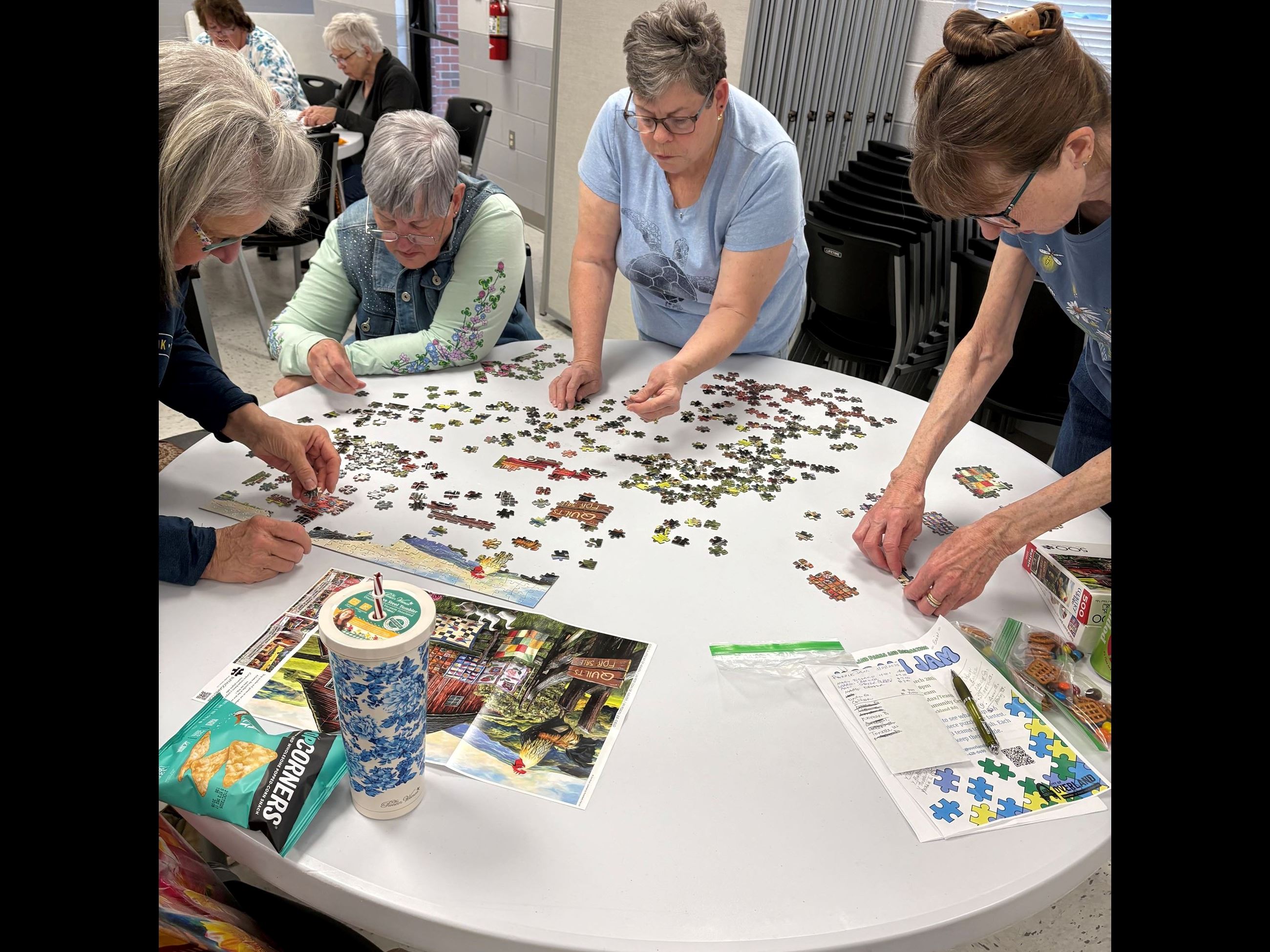 Jigsaw Jam March 2025 (13)